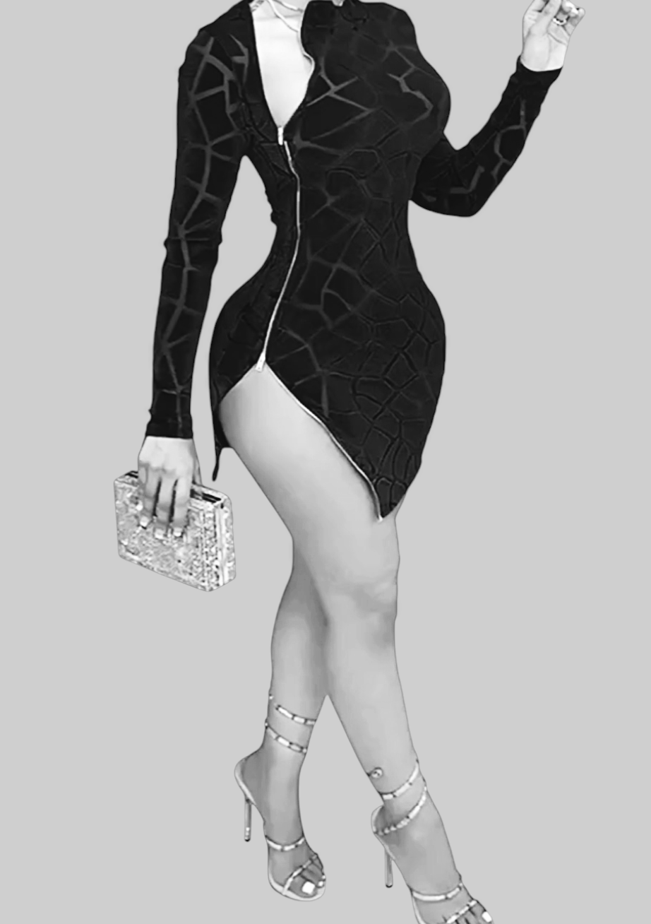 Ladies Long Sleeve Mesh Dress, Black
